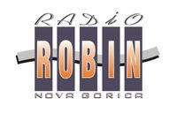 robin_logo_ng.jpg